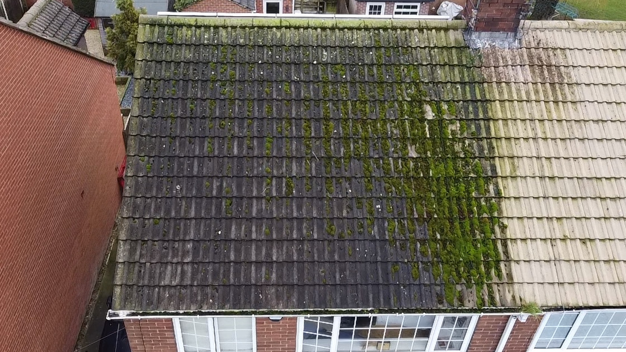 Roof scrape and biocide treatment